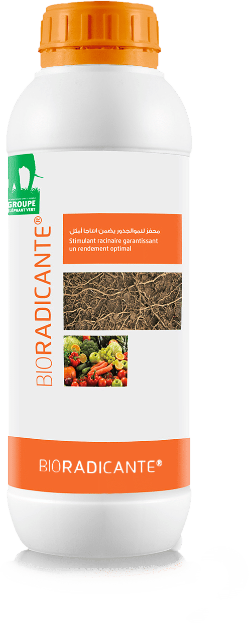Bioradicante : Produit racinaire pour maraîchage et arboriculture, 1L