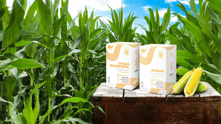 Des biosolutions adaptées aux différentes cultures