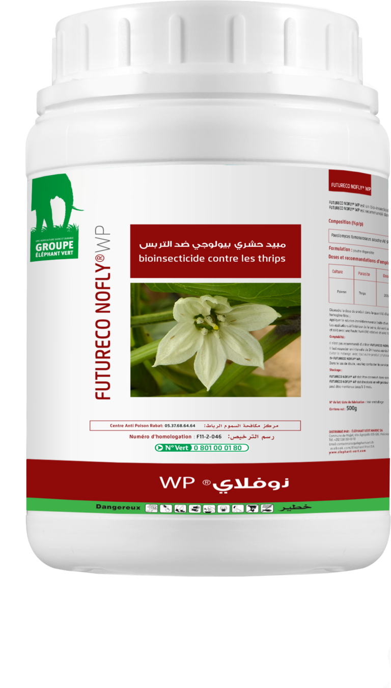 Nofly WP: insecticide pour maraîchage et arboriculture