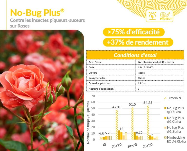 No-Bug Plus: Insecticide pour fleurs