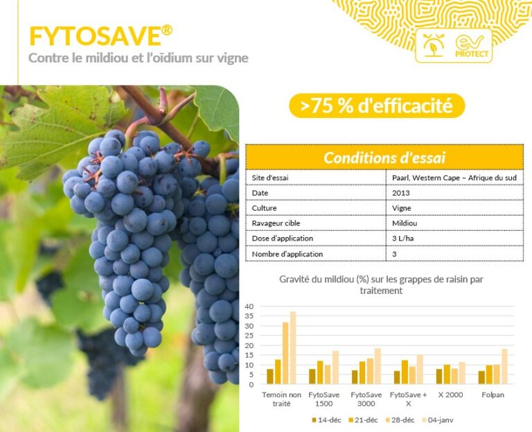 Fytosave: fongicide pour maraîchage et vigne