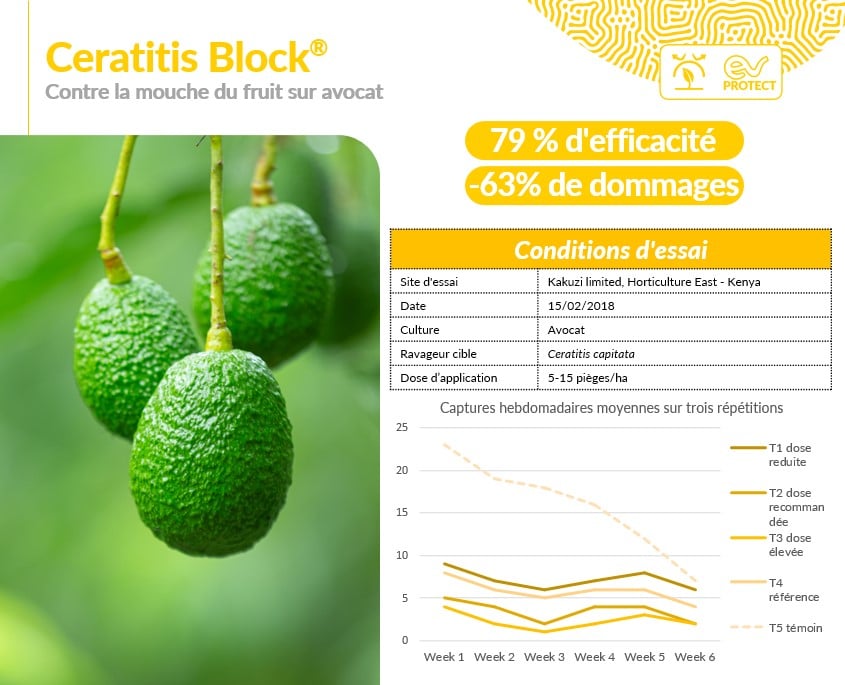 Ceratitis Block FR
