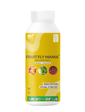 FRUIT FLY MANIA