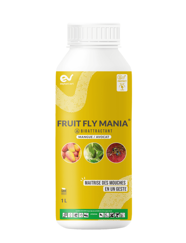 FRUIT FLY MANIA