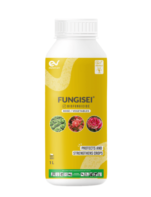 FUNGISEI