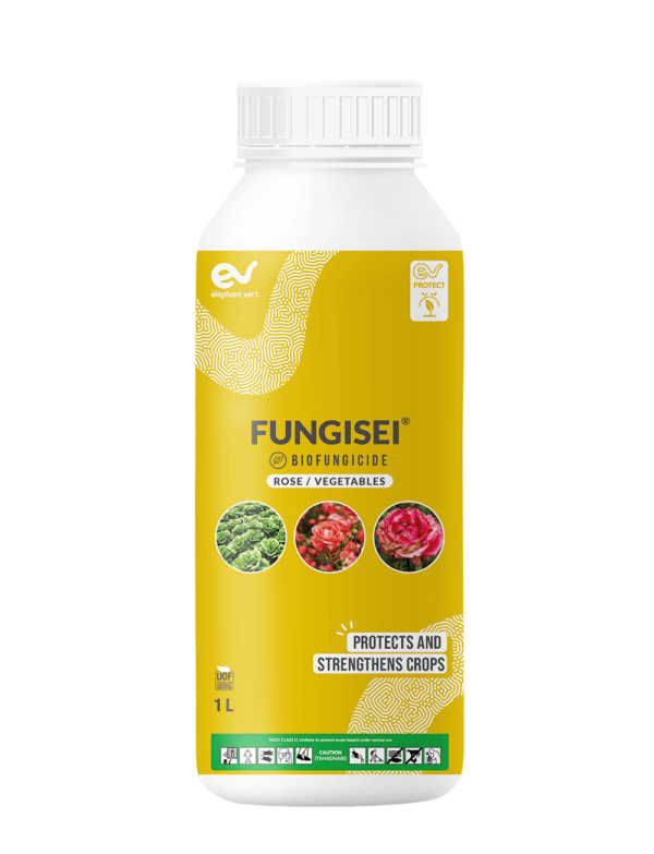 FUNGISEI