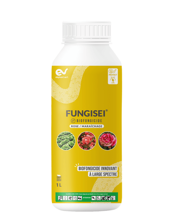 FUNGISEI