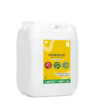 VENERATE