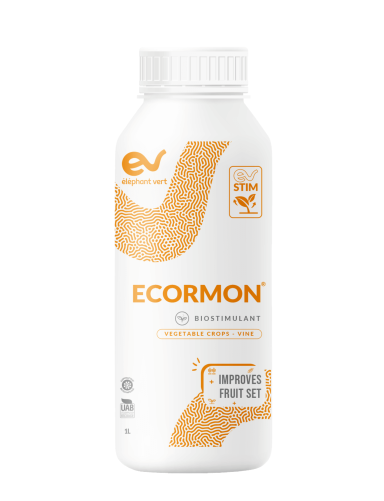 Ecormon Vine