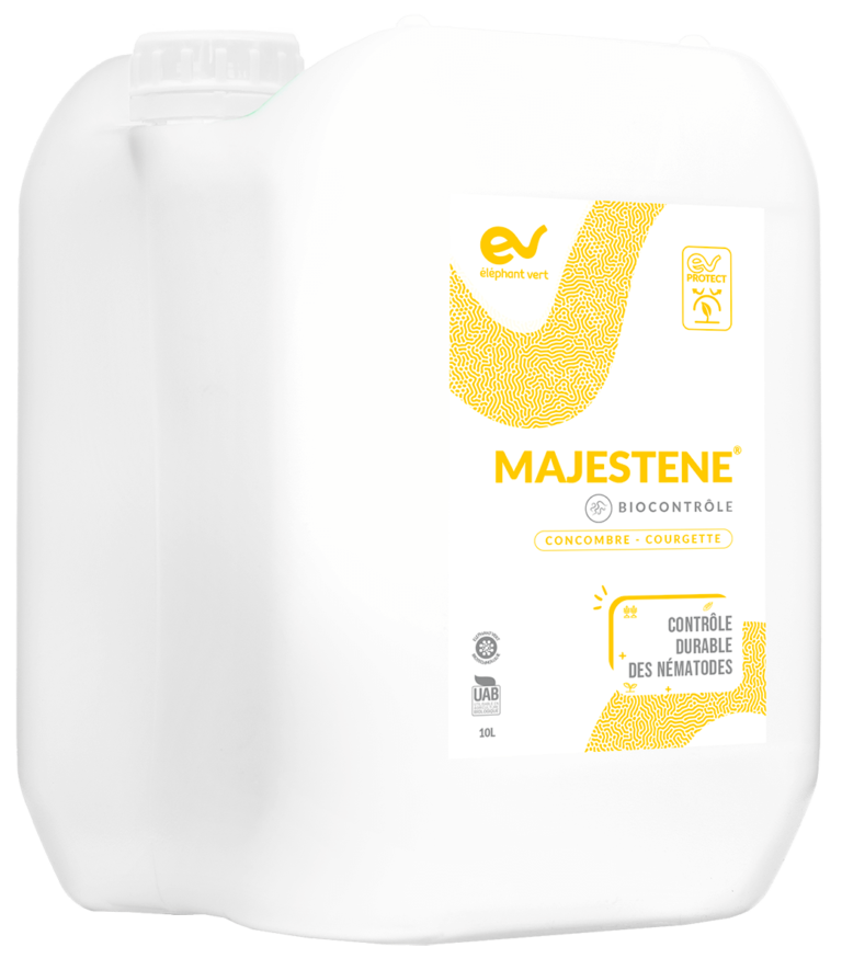 MAJESTENE-CONCOMBRE-10L