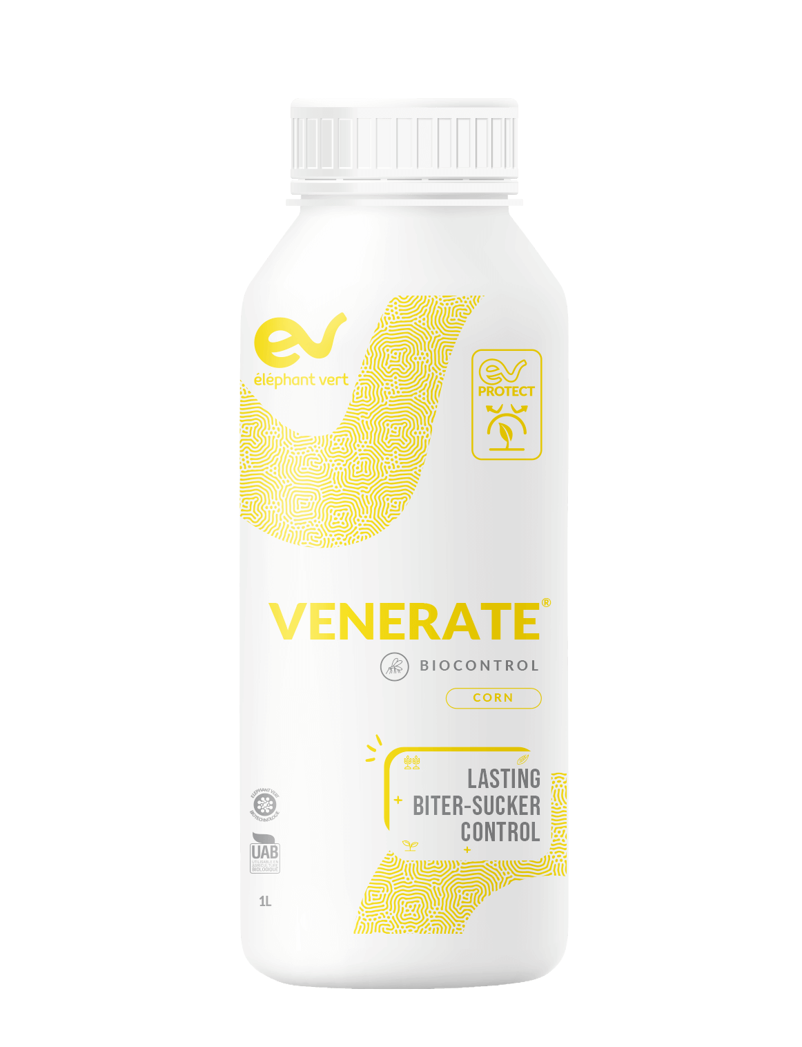 VENERATE Eléphant Vert