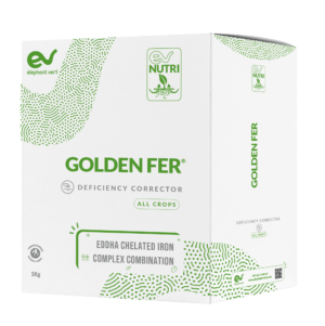 GOLDEN FER