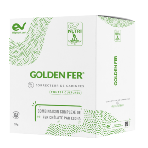 GOLDEN FER