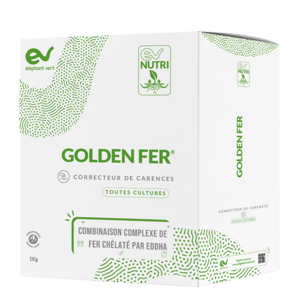 GOLDEN FER