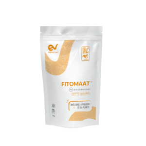 FITOMAAT