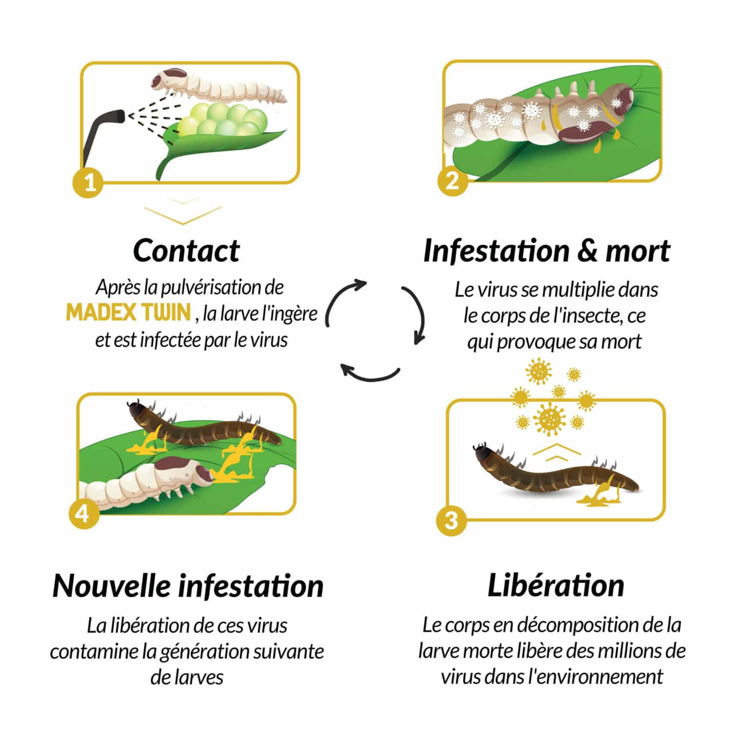 Mode d'action Madex Twin