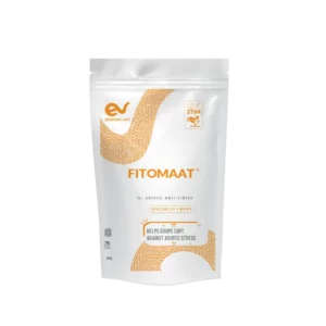 FITOMAAT